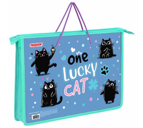 Папка на молнии с ручками ПИФАГОР А4, 1 отделение, пластик, ручки-шнурок, 