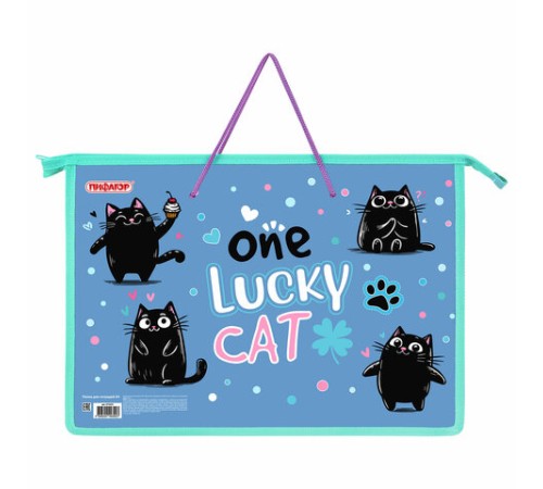 Папка на молнии с ручками ПИФАГОР А4, 1 отделение, пластик, ручки-шнурок, 