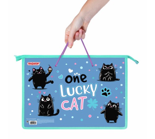 Папка на молнии с ручками ПИФАГОР А4, 1 отделение, пластик, ручки-шнурок, 