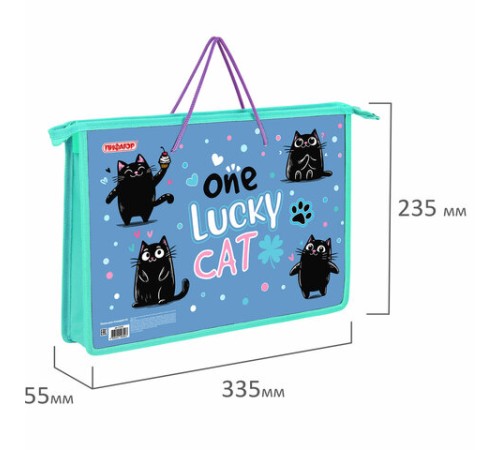 Папка на молнии с ручками ПИФАГОР А4, 1 отделение, пластик, ручки-шнурок, 