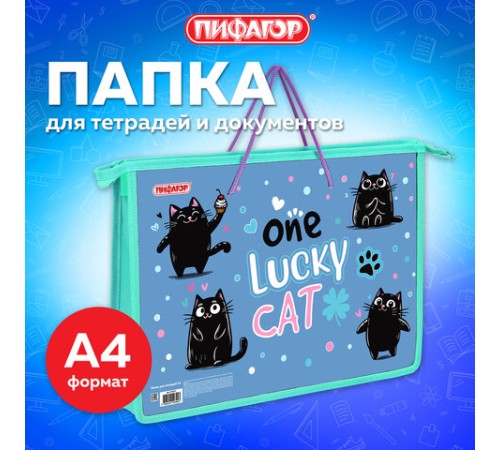 Папка на молнии с ручками ПИФАГОР А4, 1 отделение, пластик, ручки-шнурок, 