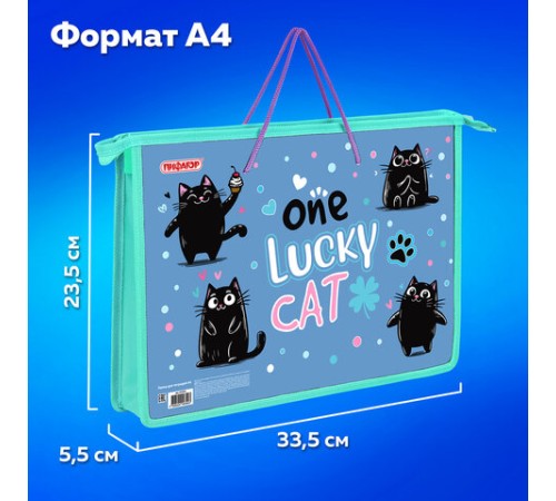 Папка на молнии с ручками ПИФАГОР А4, 1 отделение, пластик, ручки-шнурок, 