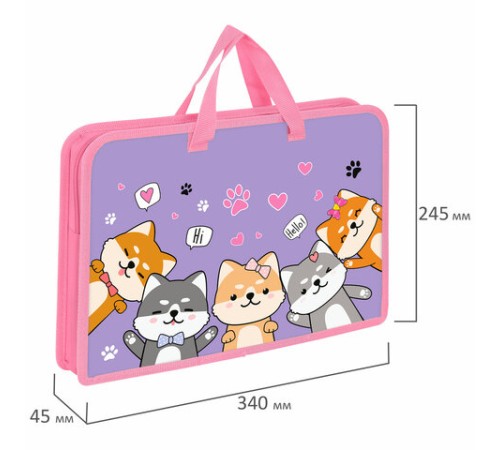 Папка на молнии с ручками ЮНЛАНДИЯ А4, 1 отделение, пластик, ширина 45 мм, 