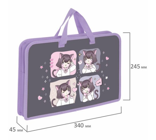 Папка на молнии с ручками ЮНЛАНДИЯ А4, 1 отделение, пластик, ширина 45 мм, 