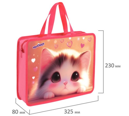 Папка на молнии с ручками ЮНЛАНДИЯ А4, 1 отделение, пластик, 80 мм, 