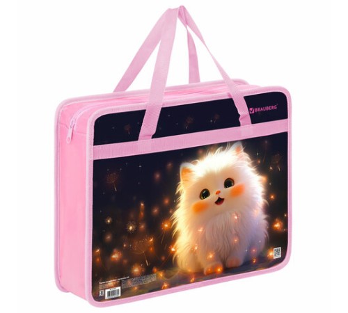 Папка на молнии с ручками BRAUBERG А4, 1 отделение, пластик, 80 мм, 