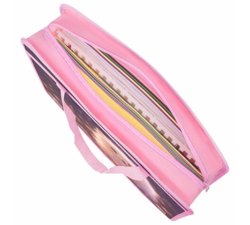 Папка на молнии с ручками BRAUBERG А4, 1 отделение, пластик, 80 мм, 