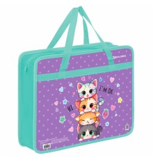 Папка на молнии с ручками BRAUBERG А4, 1 отделение, пластик, 80 мм, 