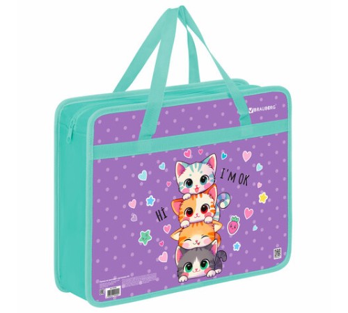 Папка на молнии с ручками BRAUBERG А4, 1 отделение, пластик, 80 мм, 