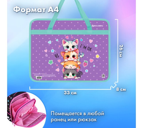 Папка на молнии с ручками BRAUBERG А4, 1 отделение, пластик, 80 мм, 