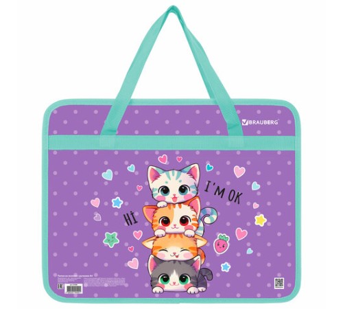 Папка на молнии с ручками BRAUBERG А4, 1 отделение, пластик, 80 мм, 