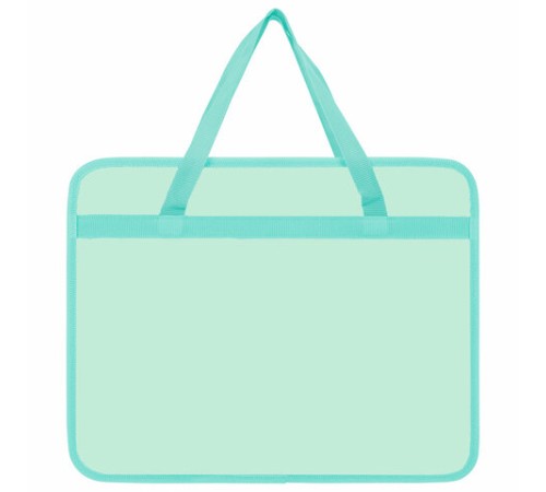 Папка на молнии с ручками BRAUBERG А4, 1 отделение, пластик, 80 мм, 