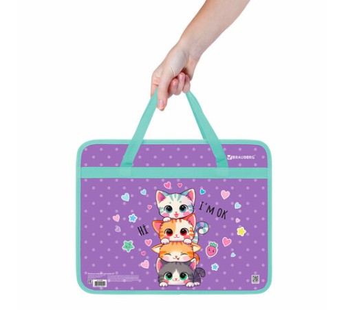 Папка на молнии с ручками BRAUBERG А4, 1 отделение, пластик, 80 мм, 