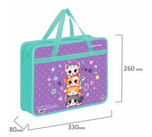 Папка на молнии с ручками BRAUBERG А4, 1 отделение, пластик, 80 мм, 