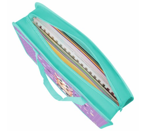 Папка на молнии с ручками BRAUBERG А4, 1 отделение, пластик, 80 мм, 