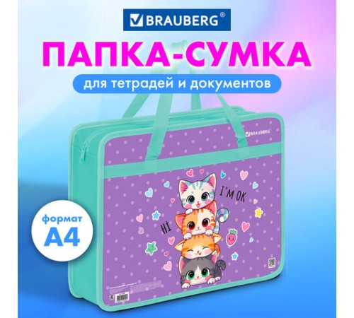 Папка на молнии с ручками BRAUBERG А4, 1 отделение, пластик, 80 мм, 