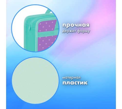 Папка на молнии с ручками BRAUBERG А4, 1 отделение, пластик, 80 мм, 