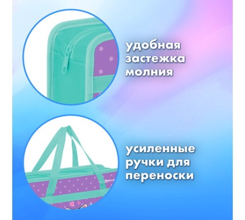 Папка на молнии с ручками BRAUBERG А4, 1 отделение, пластик, 80 мм, 