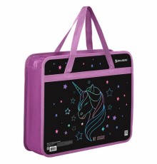 Папка на молнии с ручками BRAUBERG А4, 1 отделение, пластик, 80 мм, 