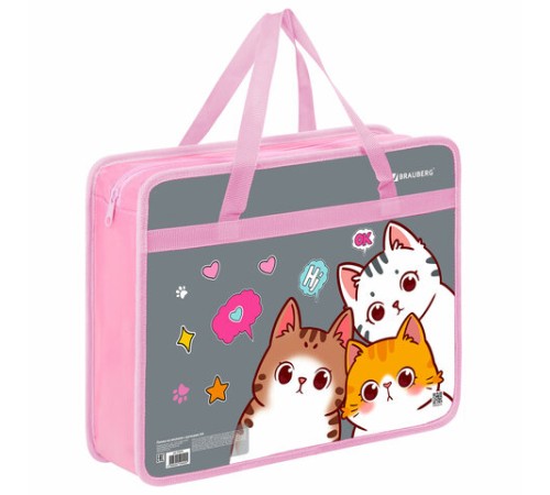 Папка на молнии с ручками BRAUBERG А4, 1 отделение, пластик, 80 мм, 