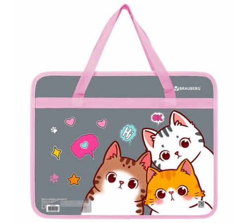 Папка на молнии с ручками BRAUBERG А4, 1 отделение, пластик, 80 мм, 