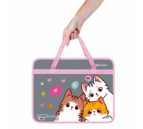 Папка на молнии с ручками BRAUBERG А4, 1 отделение, пластик, 80 мм, 