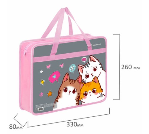 Папка на молнии с ручками BRAUBERG А4, 1 отделение, пластик, 80 мм, 