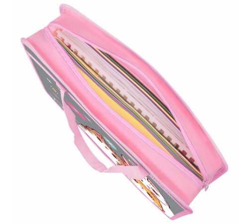 Папка на молнии с ручками BRAUBERG А4, 1 отделение, пластик, 80 мм, 