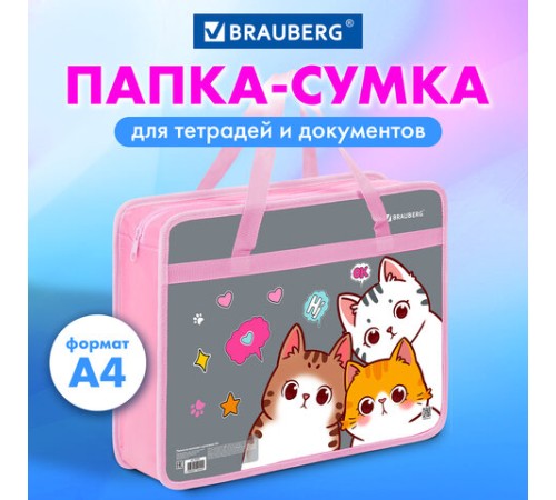 Папка на молнии с ручками BRAUBERG А4, 1 отделение, пластик, 80 мм, 