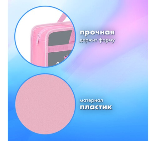 Папка на молнии с ручками BRAUBERG А4, 1 отделение, пластик, 80 мм, 