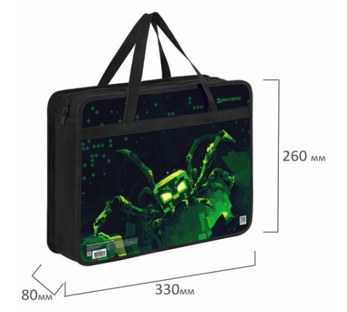 Папка на молнии с ручками BRAUBERG А4, 1 отделение, пластик, 80 мм, 