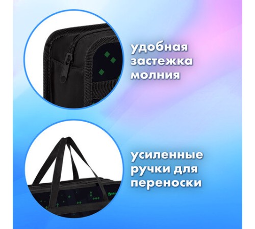 Папка на молнии с ручками BRAUBERG А4, 1 отделение, пластик, 80 мм, 