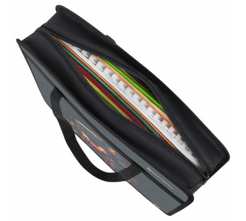 Папка на молнии с ручками BRAUBERG А4, 1 отделение, пластик, 80 мм, 