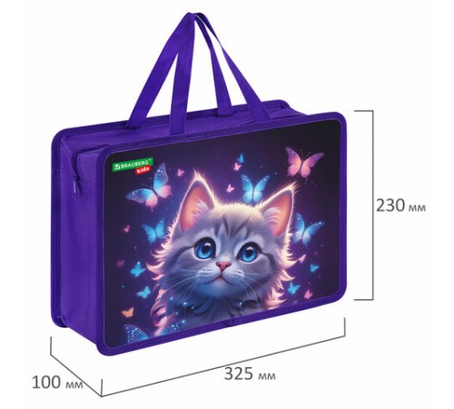 Папка на молнии с ручками BRAUBERG KIDS А4, 1 отделение, пластик, 100 мм, 