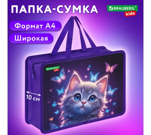 Папка на молнии с ручками BRAUBERG KIDS А4, 1 отделение, пластик, 100 мм, 