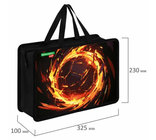 Папка на молнии с ручками BRAUBERG KIDS А4, 1 отделение, пластик, 100 мм, 