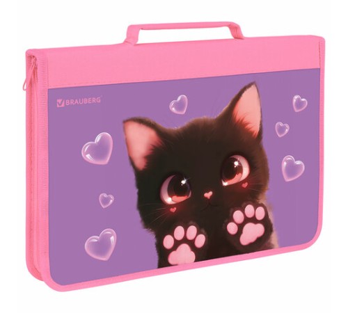 Папка на молнии BRAUBERG А4 с ручкой, с органайзером, 1 отделение, 