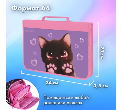 Папка на молнии BRAUBERG А4 с ручкой, с органайзером, 1 отделение, 