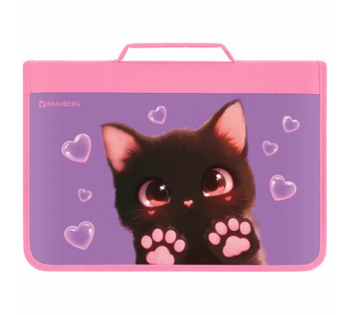 Папка на молнии BRAUBERG А4 с ручкой, с органайзером, 1 отделение, 