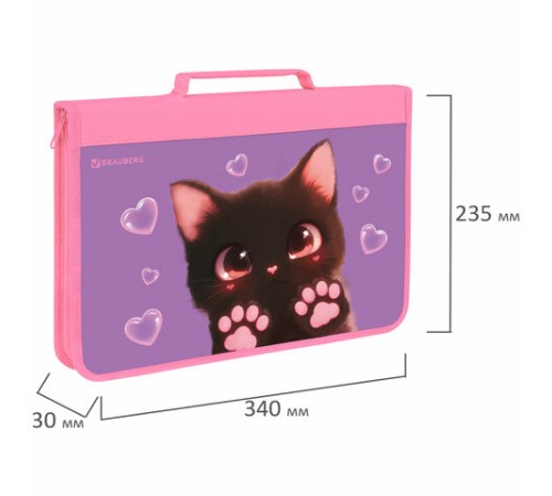 Папка на молнии BRAUBERG А4 с ручкой, с органайзером, 1 отделение, 