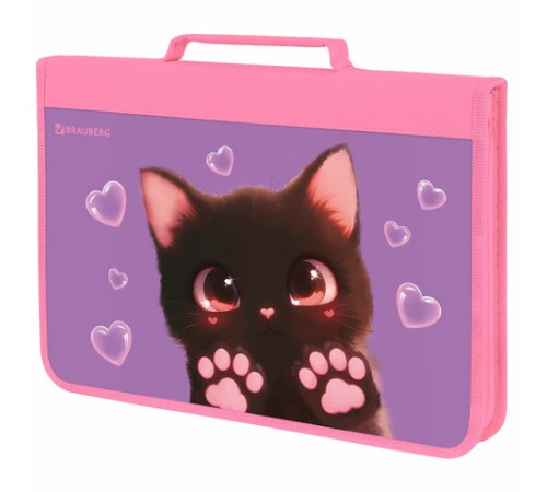 Папка на молнии BRAUBERG А4 с ручкой, с органайзером, 1 отделение, 