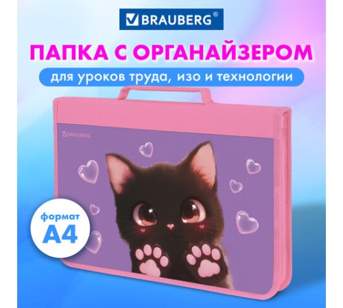 Папка на молнии BRAUBERG А4 с ручкой, с органайзером, 1 отделение, 