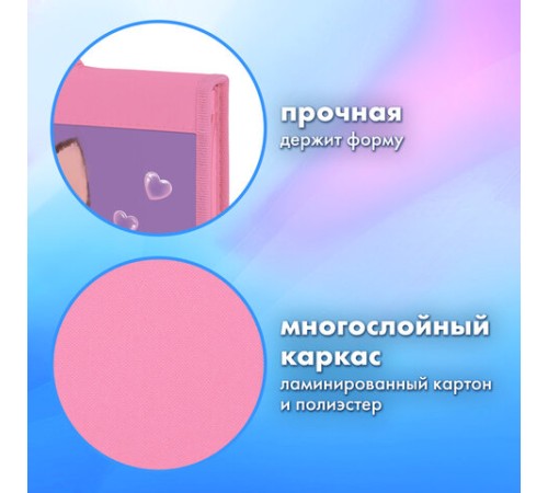 Папка на молнии BRAUBERG А4 с ручкой, с органайзером, 1 отделение, 