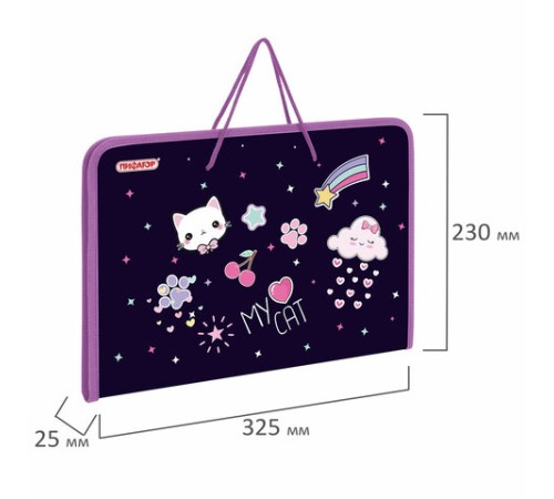 Папка для труда на молнии с ручками ПИФАГОР А4, 1 отделение, пластик, органайзер, 