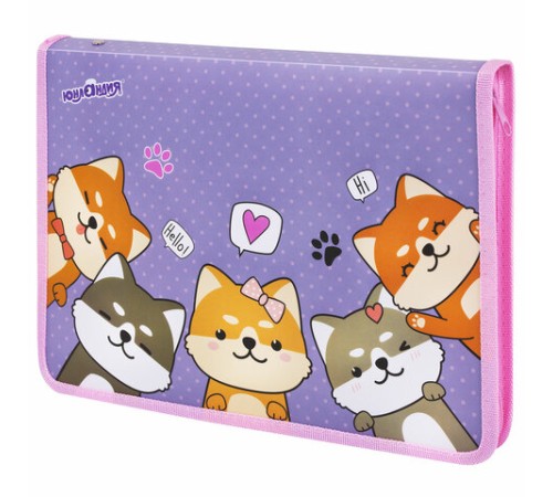 Папка для труда на молнии ЮНЛАНДИЯ А4, 1 отделение, откидная планка, органайзер, 