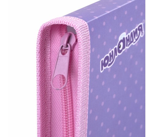 Папка для труда на молнии ЮНЛАНДИЯ А4, 1 отделение, откидная планка, органайзер, 