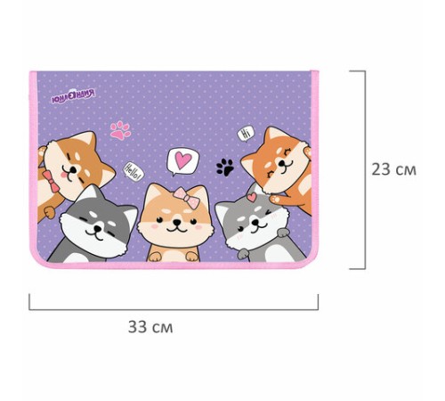 Папка для труда на молнии ЮНЛАНДИЯ А4, 1 отделение, откидная планка, органайзер, 