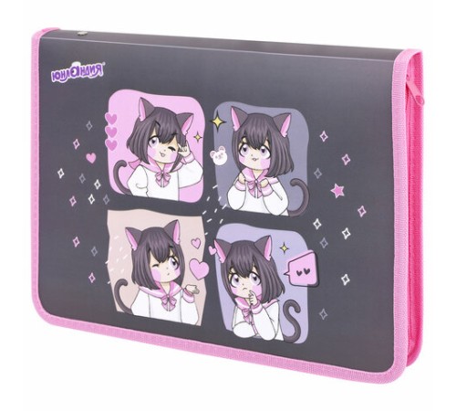 Папка для труда на молнии ЮНЛАНДИЯ А4, 1 отделение, откидная планка, органайзер, 