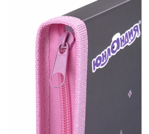 Папка для труда на молнии ЮНЛАНДИЯ А4, 1 отделение, откидная планка, органайзер, 