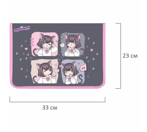 Папка для труда на молнии ЮНЛАНДИЯ А4, 1 отделение, откидная планка, органайзер, 